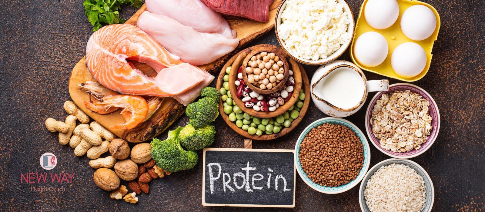 Navigating Daily Protein Intake: How Much Do You Really Need?